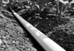 Picture of T-Tape White Drip Tape
