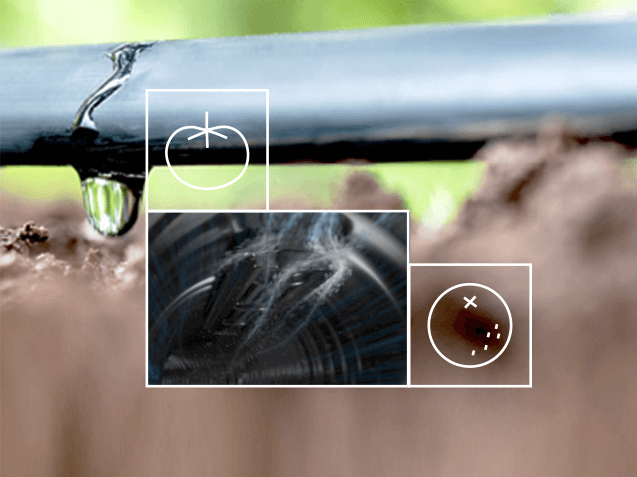 D2000 Drip Line: The Latest in Drip Line Technology | Rivulis | IrriFinder