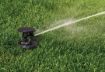 Picture of Pulse XL Pop-Up Impact Rotor Sprinkler in Canister