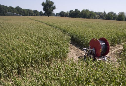 Picture of RM Irrigation 900 XJ Turbine Drive Hard Hose Irrigators