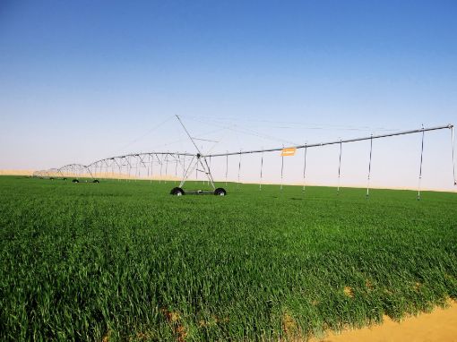 IrriFrance-IrriFrance Center Pivots-6276