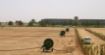 Picture of Irrimec OPTI RAIN ST3 Turbine Drive Hard Hose Irrigators