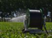Picture of Irrimec OPTI RAIN ST4 Turbine Drive Hard Hose Irrigators
