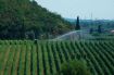 Picture of Irrimec OPTI RAIN ST45 Turbine Drive Hard Hose Irrigators