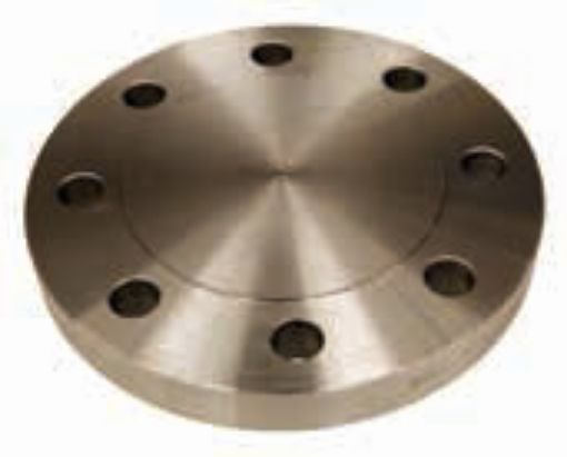 AAP Industries ANSI C300 Blind Flange-1