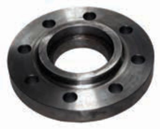 AAP Industries ANSI C300 Socket Weld Flange-1