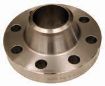 AAP Industries ANSI C600 Weld Neck Flange-1