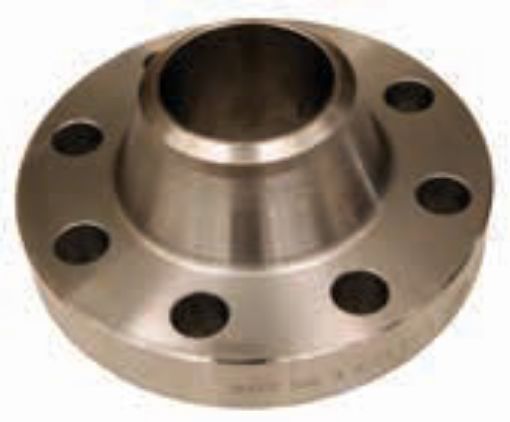 AAP Industries ANSI C600 Weld Neck Flange-1