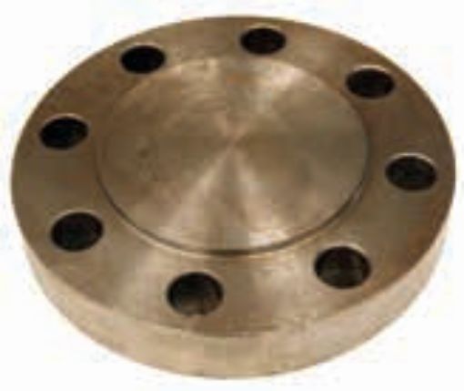 AAP Industries ANSI C600 Blind Flange-1