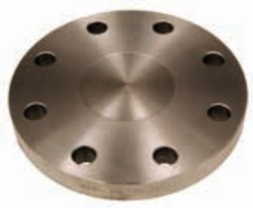 AAP Industries Blind Plate Flange (Table H)-1