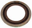 AAP Industries Spiral Wound Gaskets Class 150-1