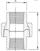 AAP Industries High Pressure 3000lb Threaded Union-3