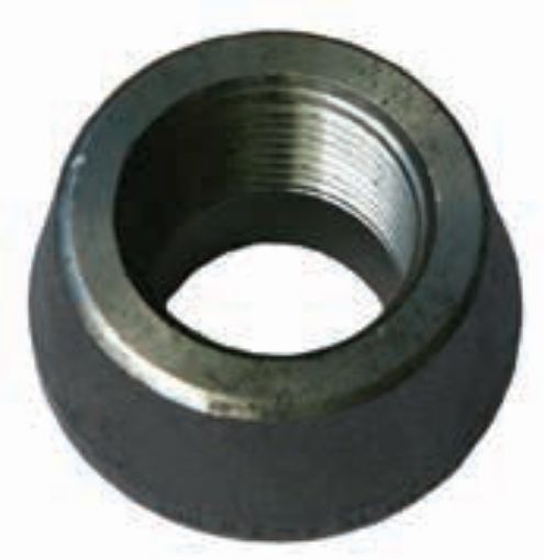 AAP Industries High Pressure Branch Outlet with Threaded End-1