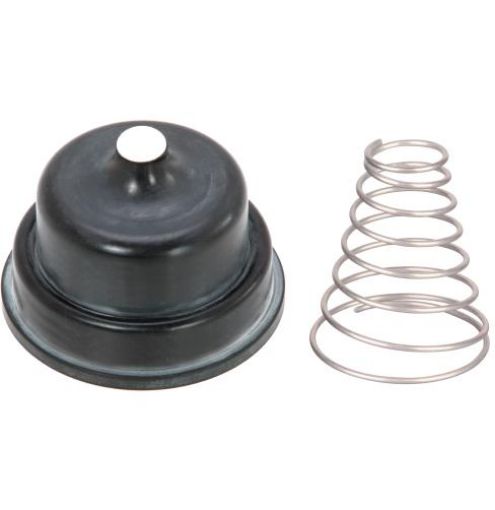Hansen 25mm Diaphragm with Stainless Steel Spring-1